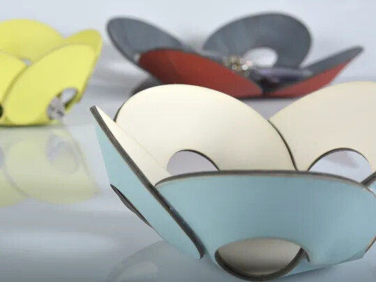 Yu-xiu Zhang NABA Student challenge